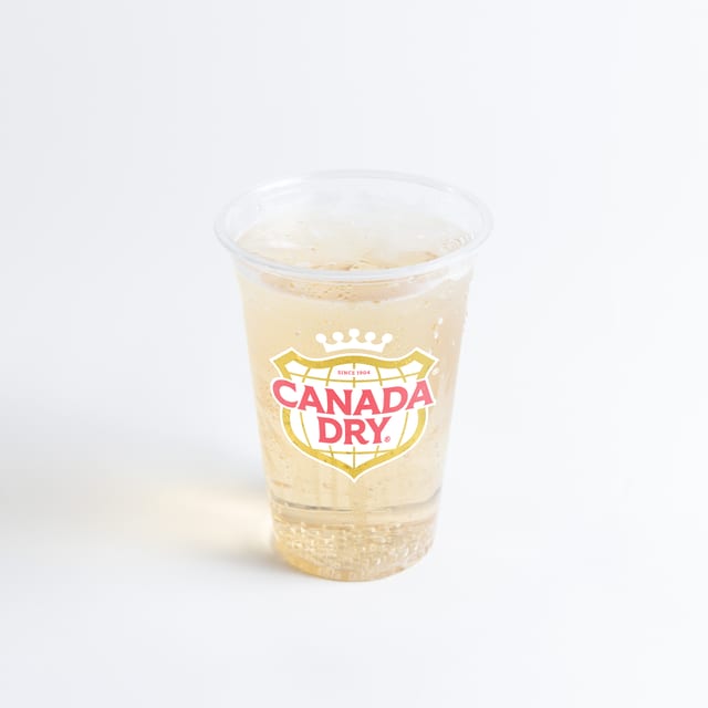 2 LITER GINGER ALE.